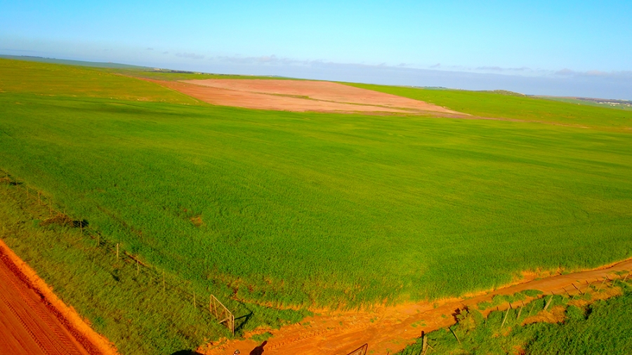 0 Bedroom Property for Sale in Vredenburg Rural Western Cape